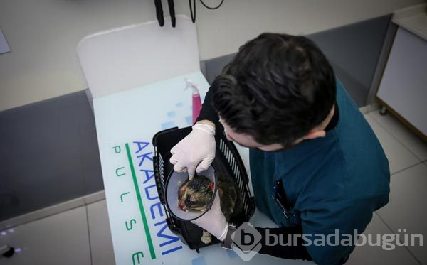 Vahşet! Bu halde buldu

