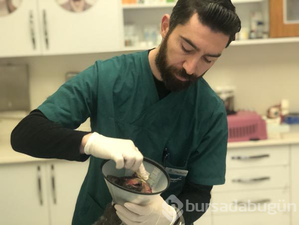 Vahşet! Bu halde buldu
