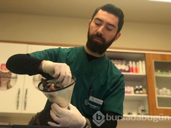 Vahşet! Bu halde buldu
