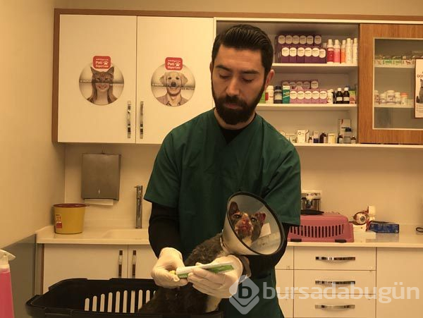 Vahşet! Bu halde buldu
