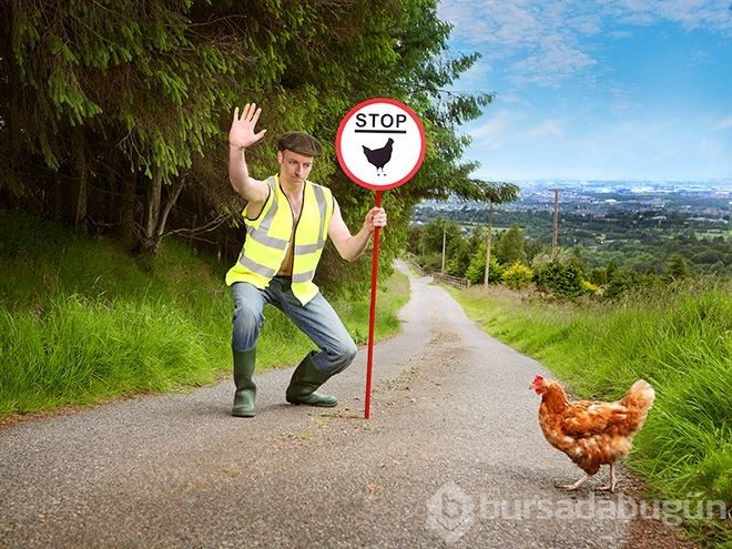 2019 İrlandalı Çiftçiler Takvimi çıktı...
