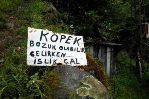 Bursa'da yurdum insanının haberlik halleri