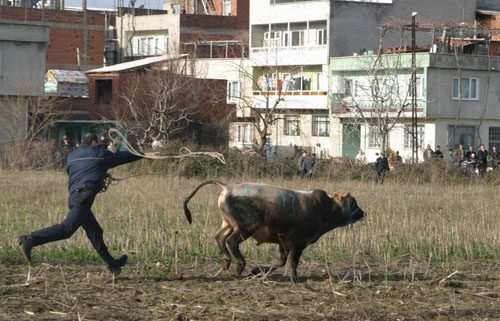 Bursa'da yurdum insanının haberlik halleri