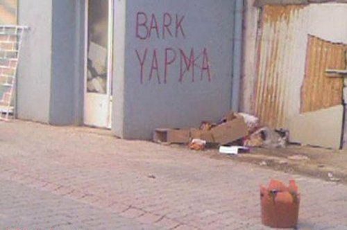 Bursa'da yurdum insanının haberlik halleri