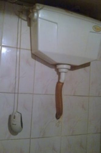 Bursa'da yurdum insanının haberlik halleri