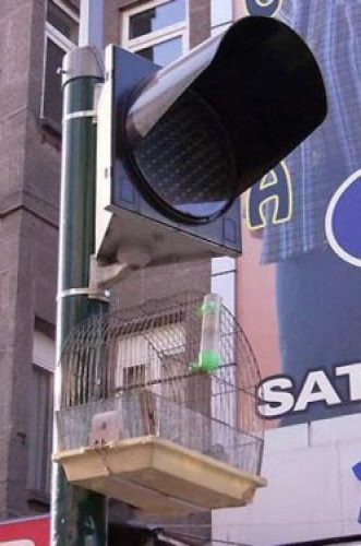 Bursa'da yurdum insanının haberlik halleri