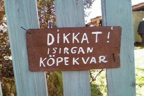 Bursa'da yurdum insanının haberlik halleri