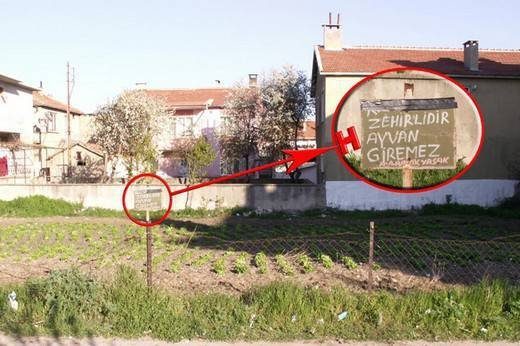 Bursa'da yurdum insanının haberlik halleri