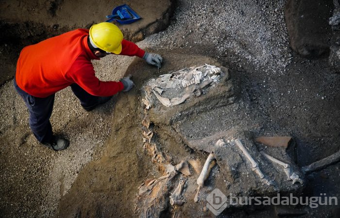 Pompeii'de taşlaşmış at bulundu
