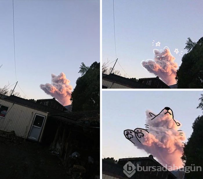 Bu fotoğrafa bakınca ne görüyorsunuz?
