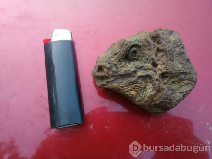 Bu fotoğrafa bakınca ne görüyorsunuz?
