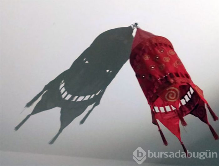 Bu fotoğrafa bakınca ne görüyorsunuz?
