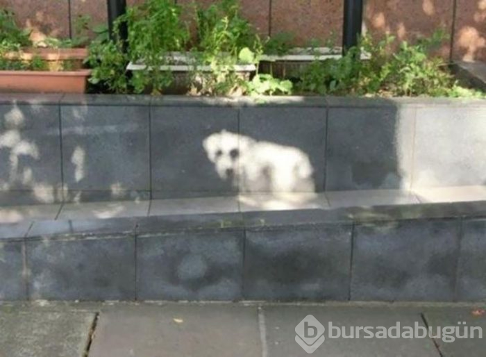 Bu fotoğrafa bakınca ne görüyorsunuz?
