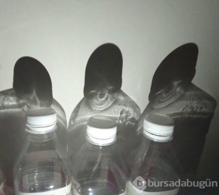 Bu fotoğrafa bakınca ne görüyorsunuz?
