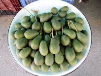 Günde 1 avokado yiyene 300 dolar!
