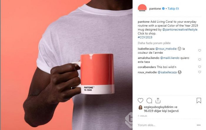 Yılın Pantone rengi canlı mercan ve iç mekana etkileri

