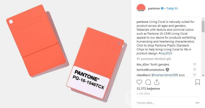 Yılın Pantone rengi canlı mercan ve iç mekana etkileri
