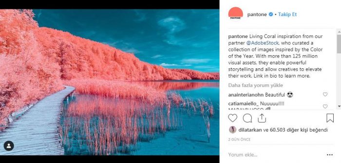 Yılın Pantone rengi canlı mercan ve iç mekana etkileri
