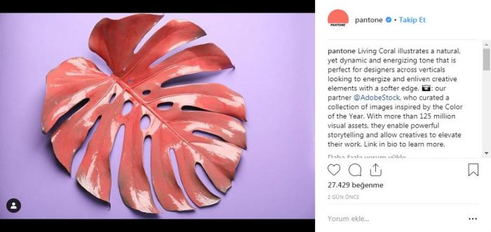 Yılın Pantone rengi canlı mercan ve iç mekana etkileri
