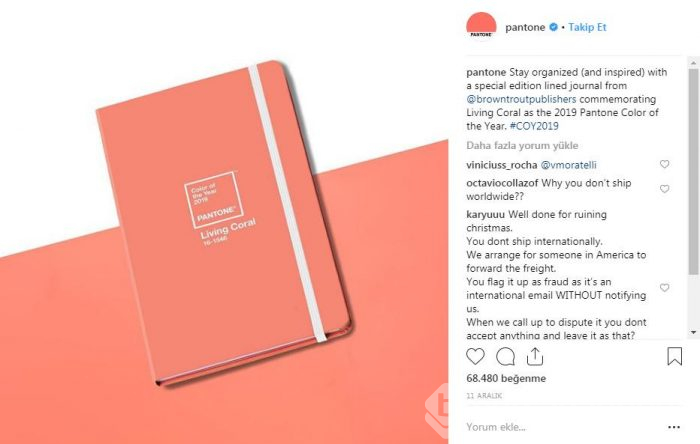 Yılın Pantone rengi canlı mercan ve iç mekana etkileri
