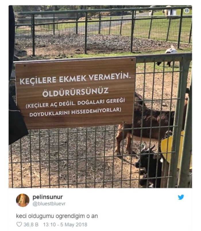  Mizahıyla 2018'e damgasını vuran en komik tweetler
