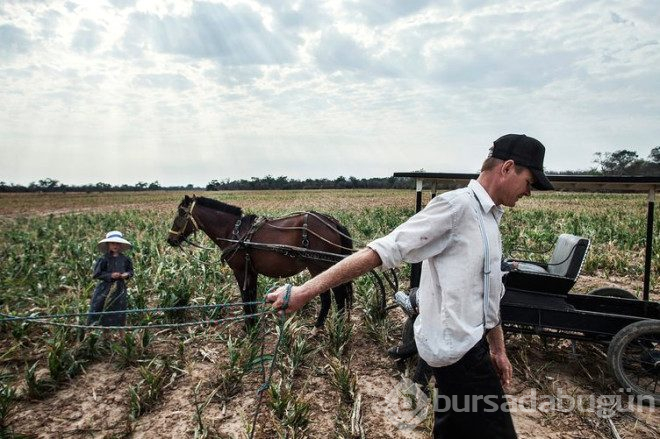  Teknolojiyi ısrarla reddeden mennonitler'in sır gibi sakladıkları yaşamları görüntülendi