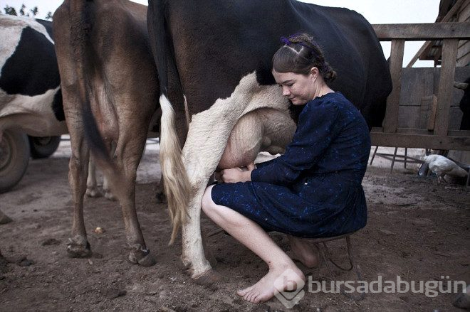  Teknolojiyi ısrarla reddeden mennonitler'in sır gibi sakladıkları yaşamları görüntülendi