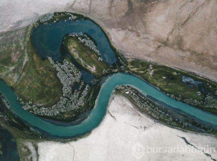 4 yaşındaki çocuklarına dünyanın güzelliklerini göstermek için her şeylerini sattılar