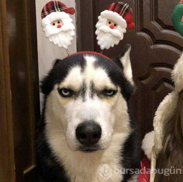 Günün en çok paylaşılan fotoğrafları (26.12.2018)