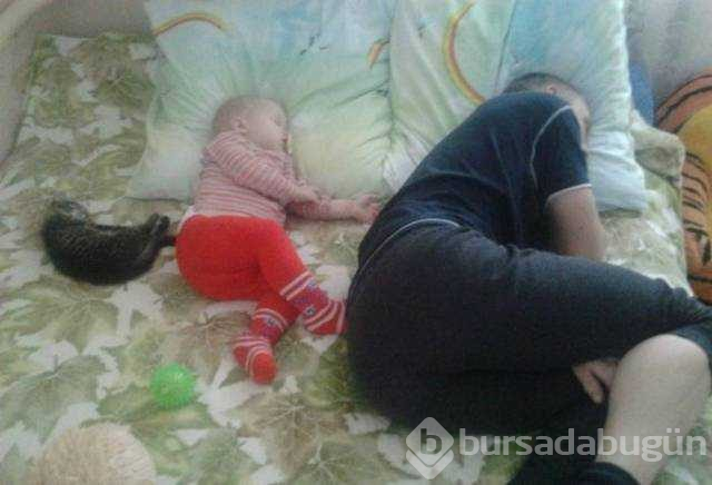 Günün en çok paylaşılan fotoğrafları (26.12.2018)