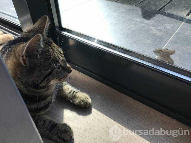 Günün en çok paylaşılan fotoğrafları (26.12.2018)
