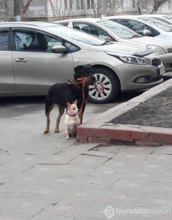 Günün en çok paylaşılan fotoğrafları (26.12.2018)