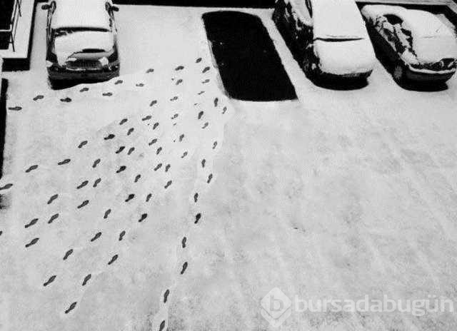 Günün en çok paylaşılan fotoğrafları (26.12.2018)