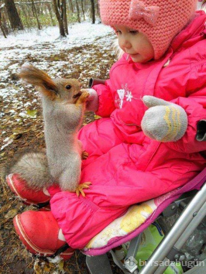 Günün en çok paylaşılan fotoğrafları (26.12.2018)