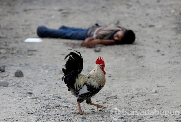 Reuters'a göre 2018 yılının fotoğrafları
