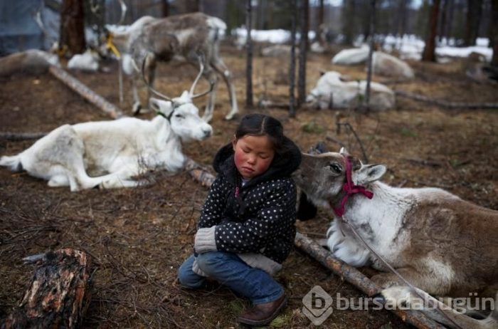 Reuters'a göre 2018 yılının fotoğrafları