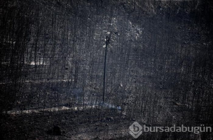 Reuters'a göre 2018 yılının fotoğrafları