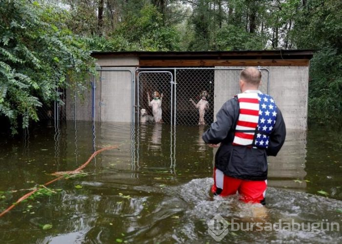 Reuters'a göre 2018 yılının fotoğrafları