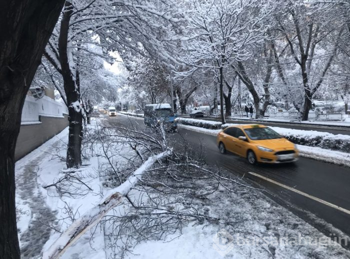 Karda nasıl araç kullanılır?