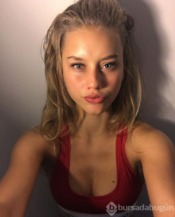Chase Carter