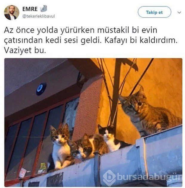 Güldüren tweetler
