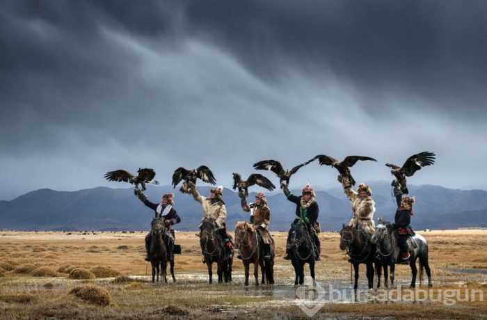 Moğolistan'ın göçebe kartal avcıları ve avcı kuşları