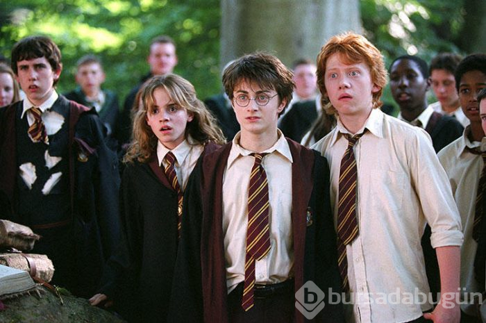 Dünyada ikinci Türkiye'de ise ilk: Harry Potter temalı kafe Trabzon'da açıldı
