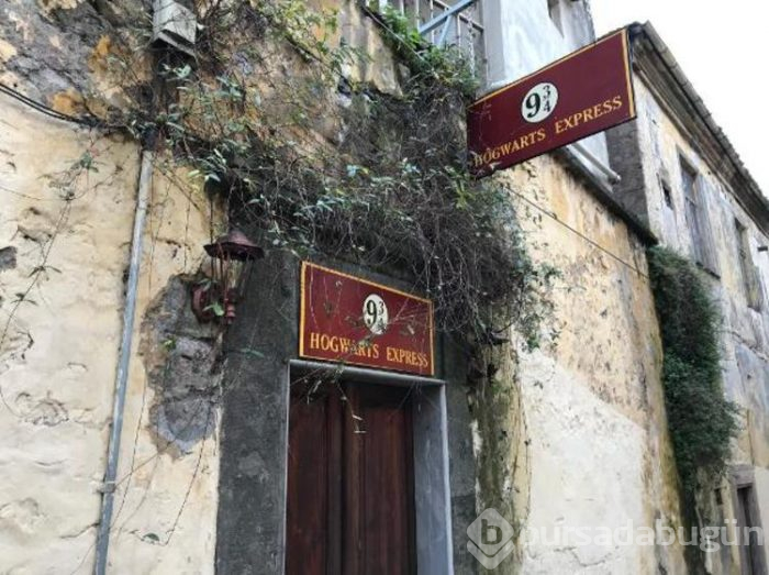 Dünyada ikinci Türkiye'de ise ilk: Harry Potter temalı kafe Trabzon'da açıldı
