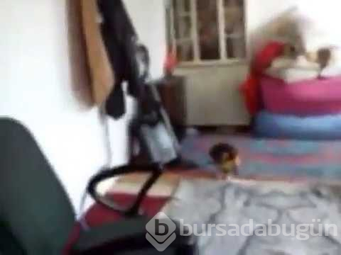 Salih Memişoğlu koşan cinin görüntüleri

