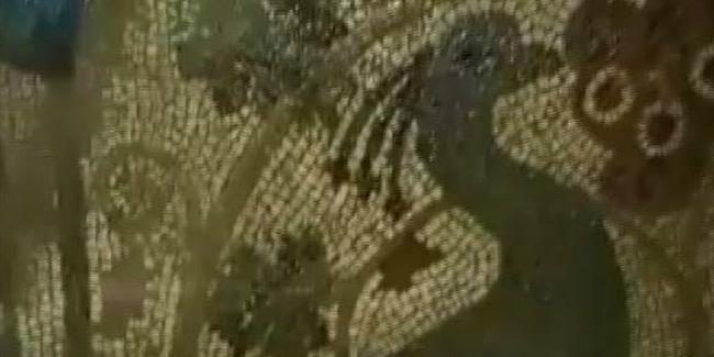 Definecilerin açtığı çukurdan 1800 yıllık tavus kusu mozaiği çıktı
