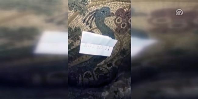 Definecilerin açtığı çukurdan 1800 yıllık tavus kusu mozaiği çıktı
