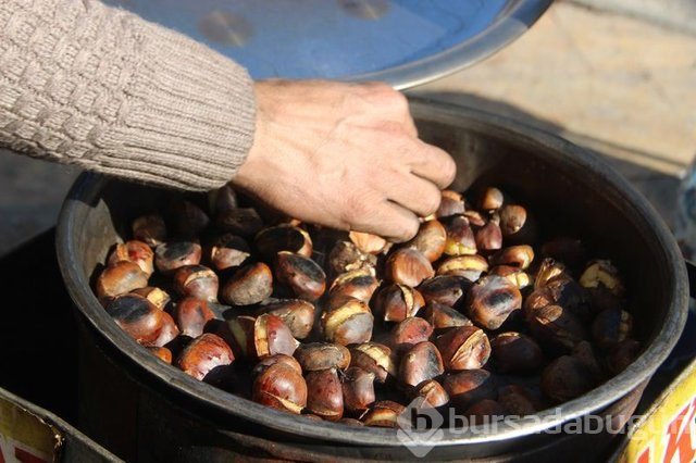 Kestane kalp hastalıkları riskini azaltıyor, stresi azaltıyor!
