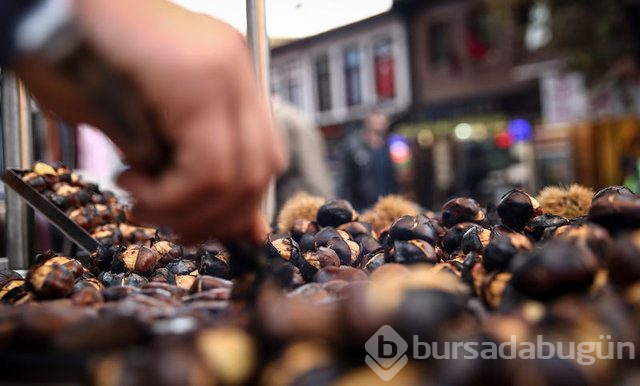 Kestane kalp hastalıkları riskini azaltıyor, stresi azaltıyor!
