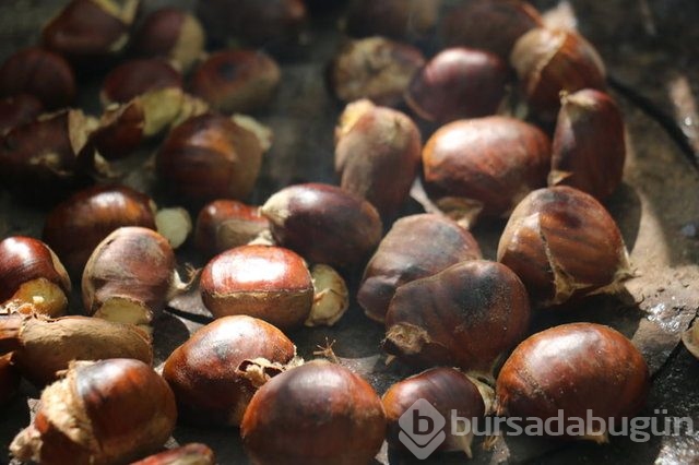Kestane kalp hastalıkları riskini azaltıyor, stresi azaltıyor!

